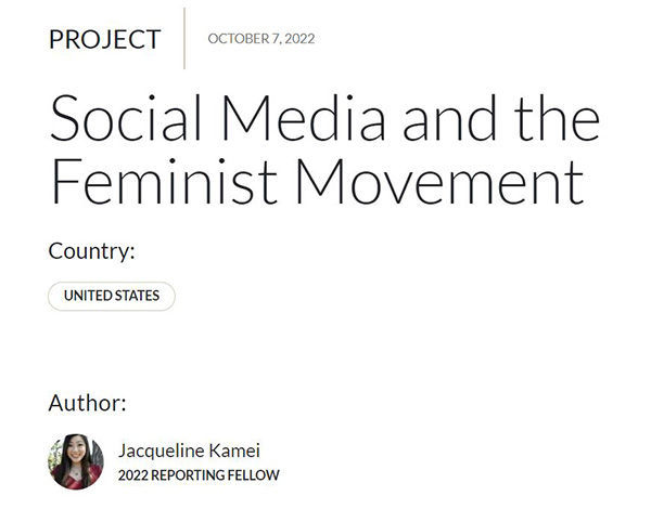 Screenshot of Social Media and the Feminist Movement fellow's article