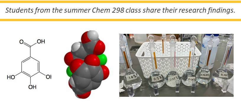 Special Lecture Series Fall 2024: From Molecular Gastronomy To Drug Delivery