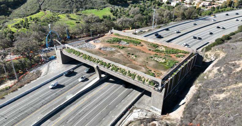 Wallis Annenberg Wildlife Crossing